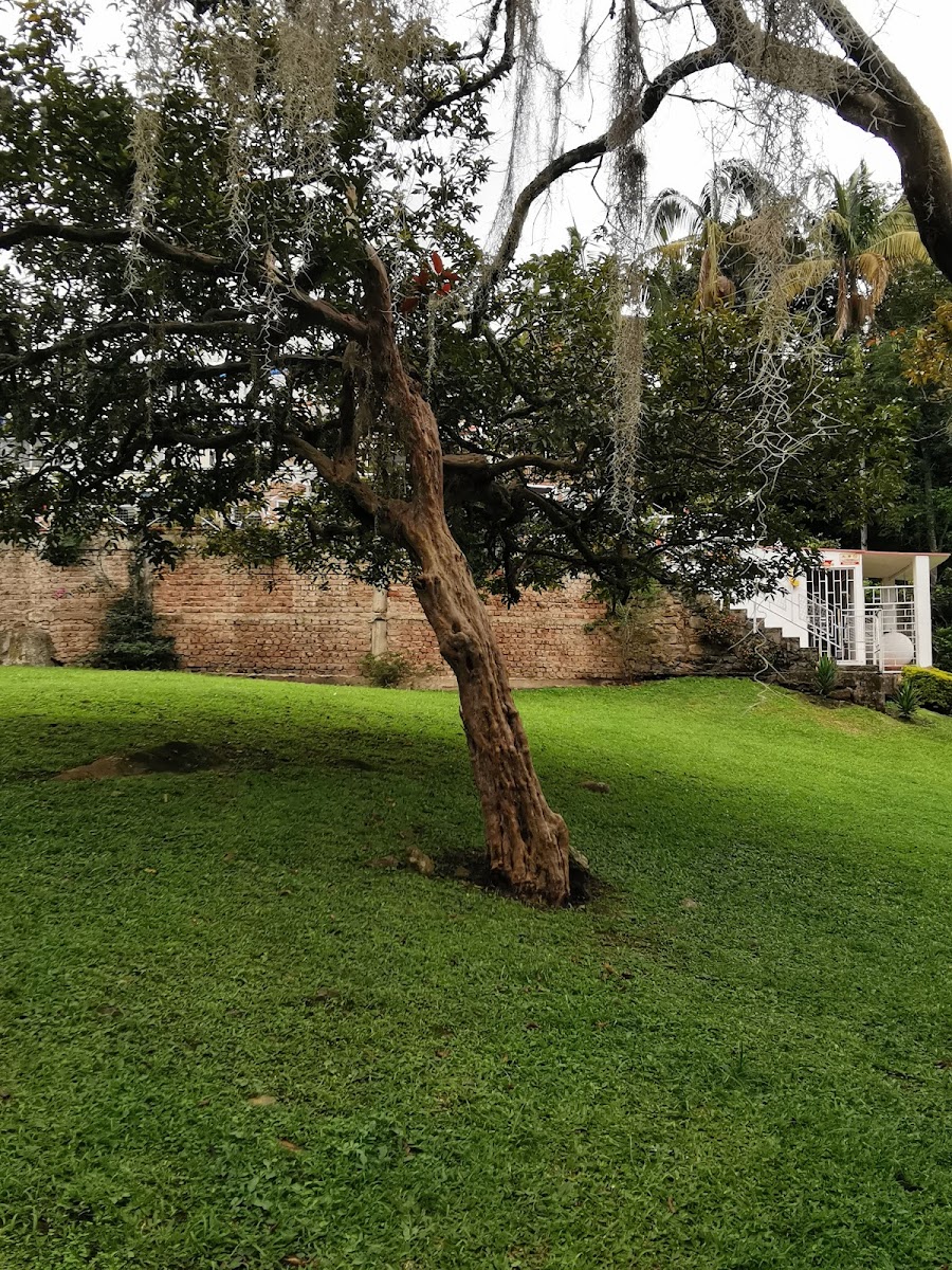 Hotel Diego Pacho
