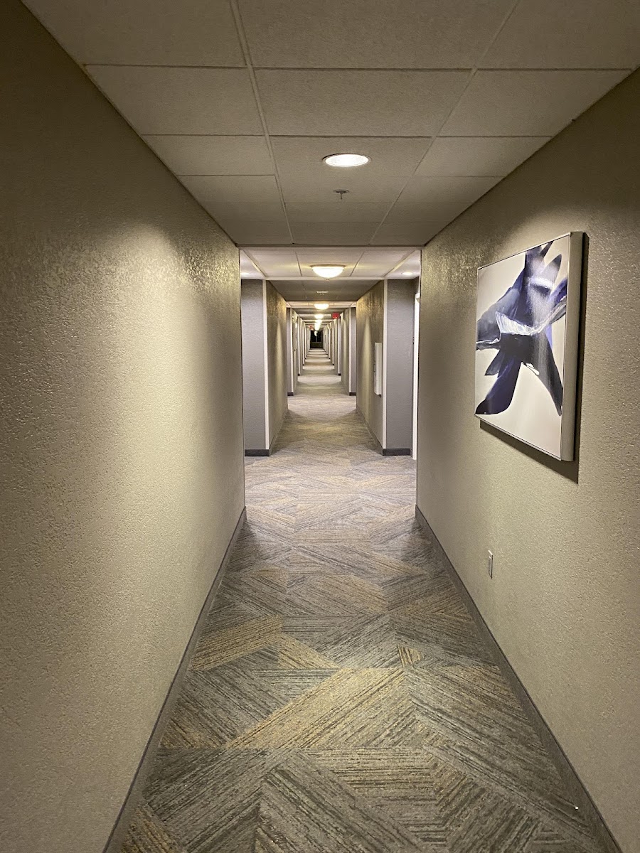 Courtyard by Marriott Fort Lauderdale Airport & Cruise Port Hotel 3