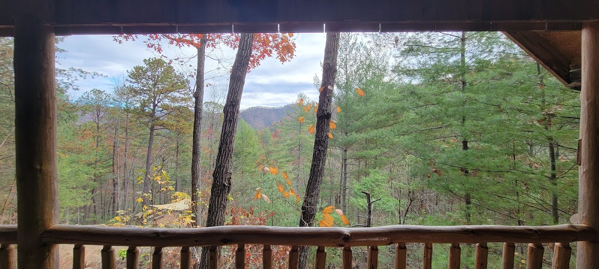 Hot Springs Treehouse Cabins Hotel 3