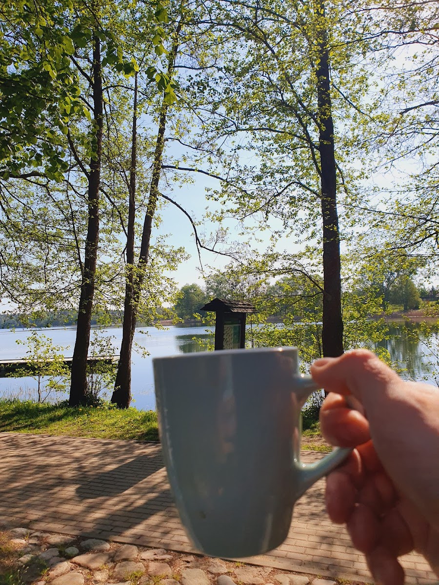 Kwiat Paproci Domki nad jeziorem Hotel 3