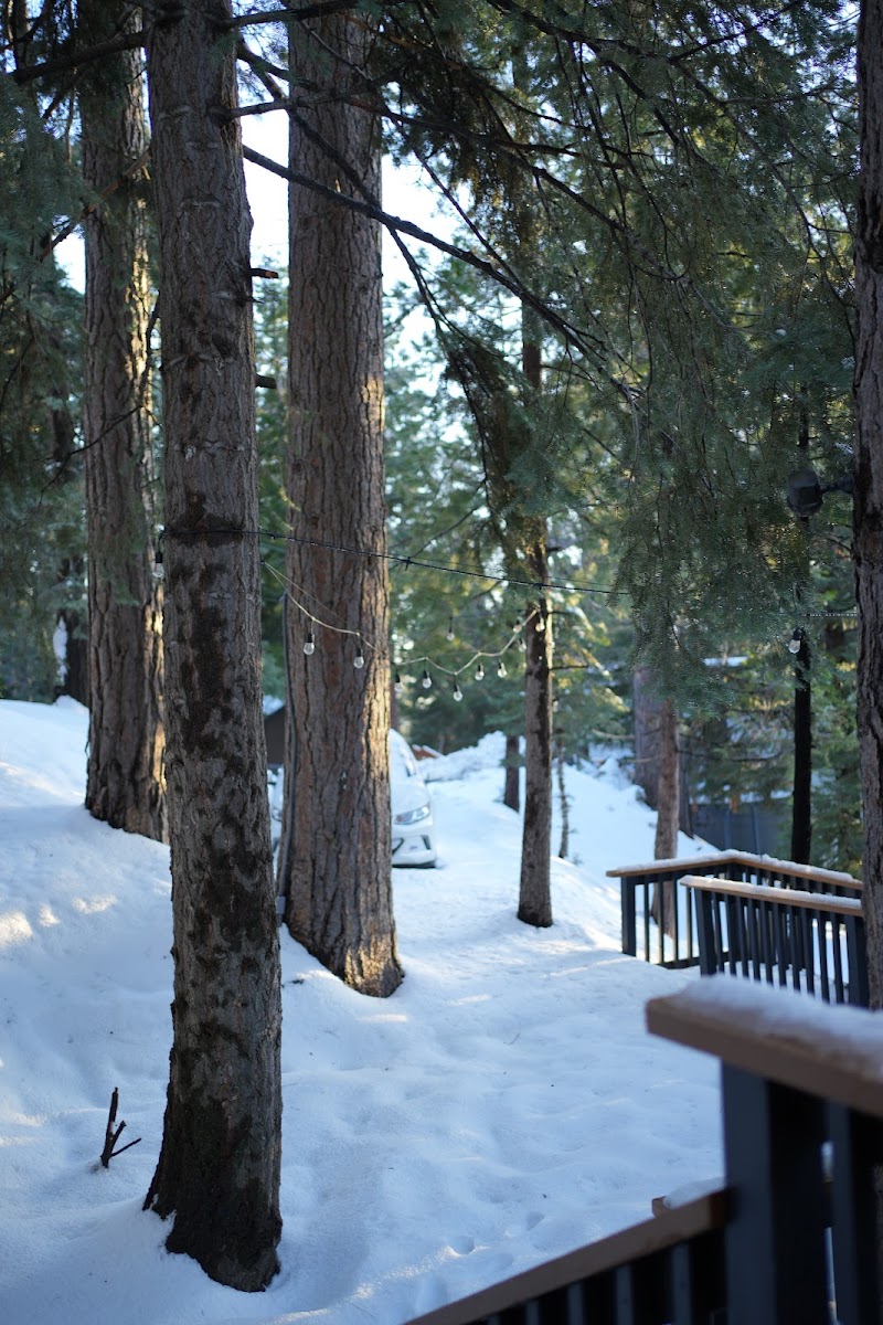 Lightfoot Cabin Hotel 3
