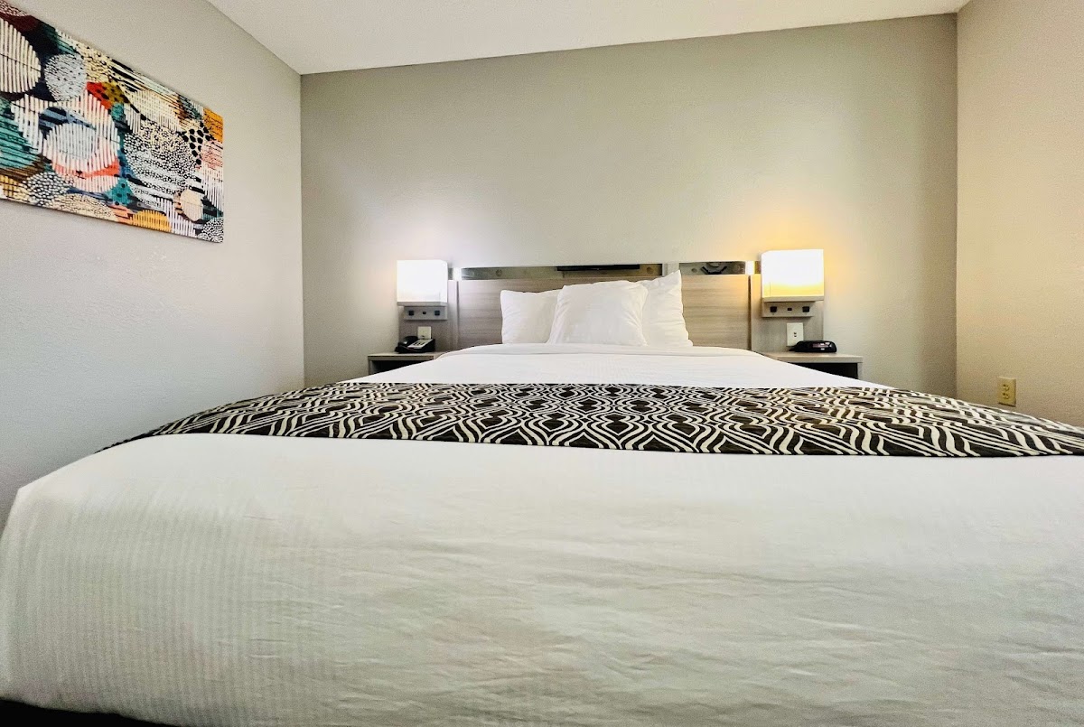 Microtel Inn & Suites by Wyndham Georgetown Hotel 3