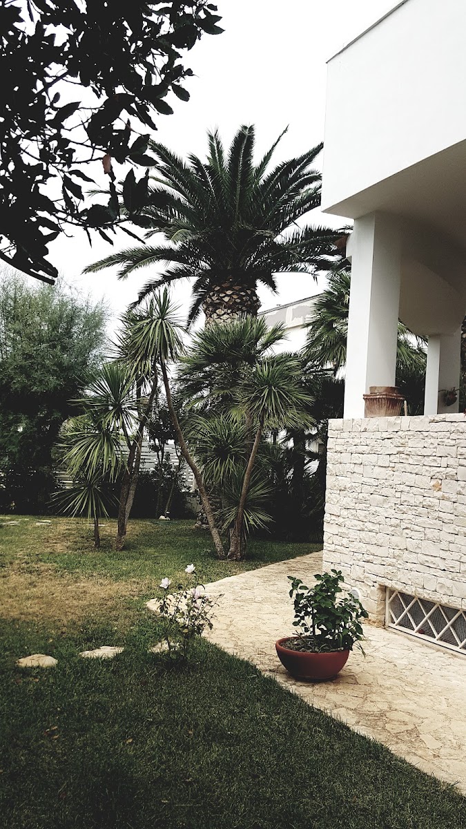 Residence EdilMare