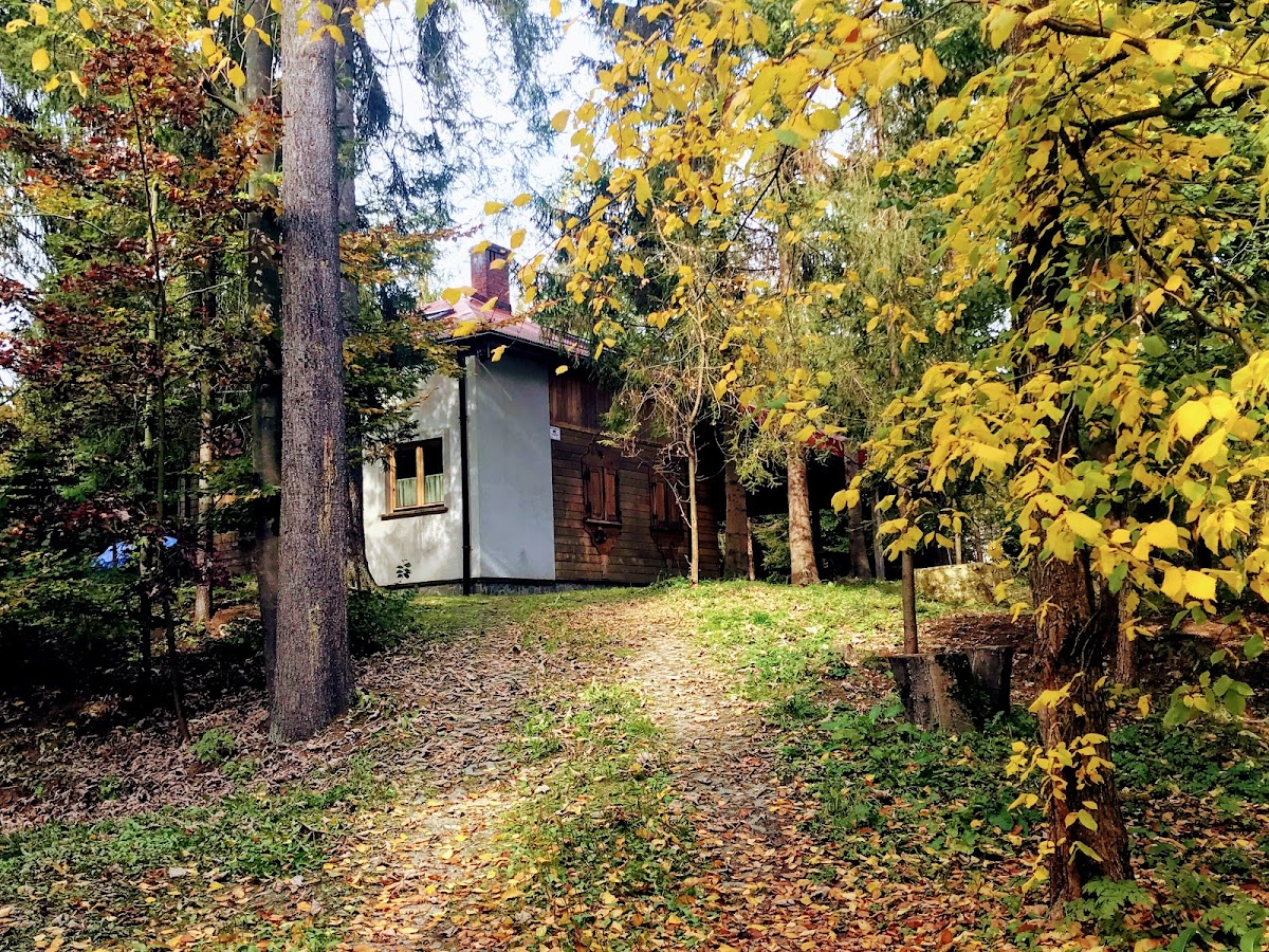 Domek Malinka 13