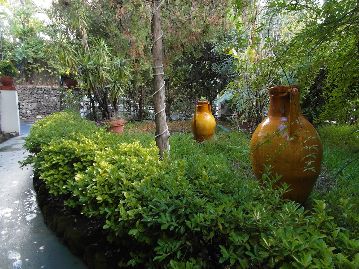 Hotel Parcoverde Terme Hotel 3