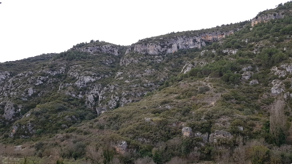 Cal Tató