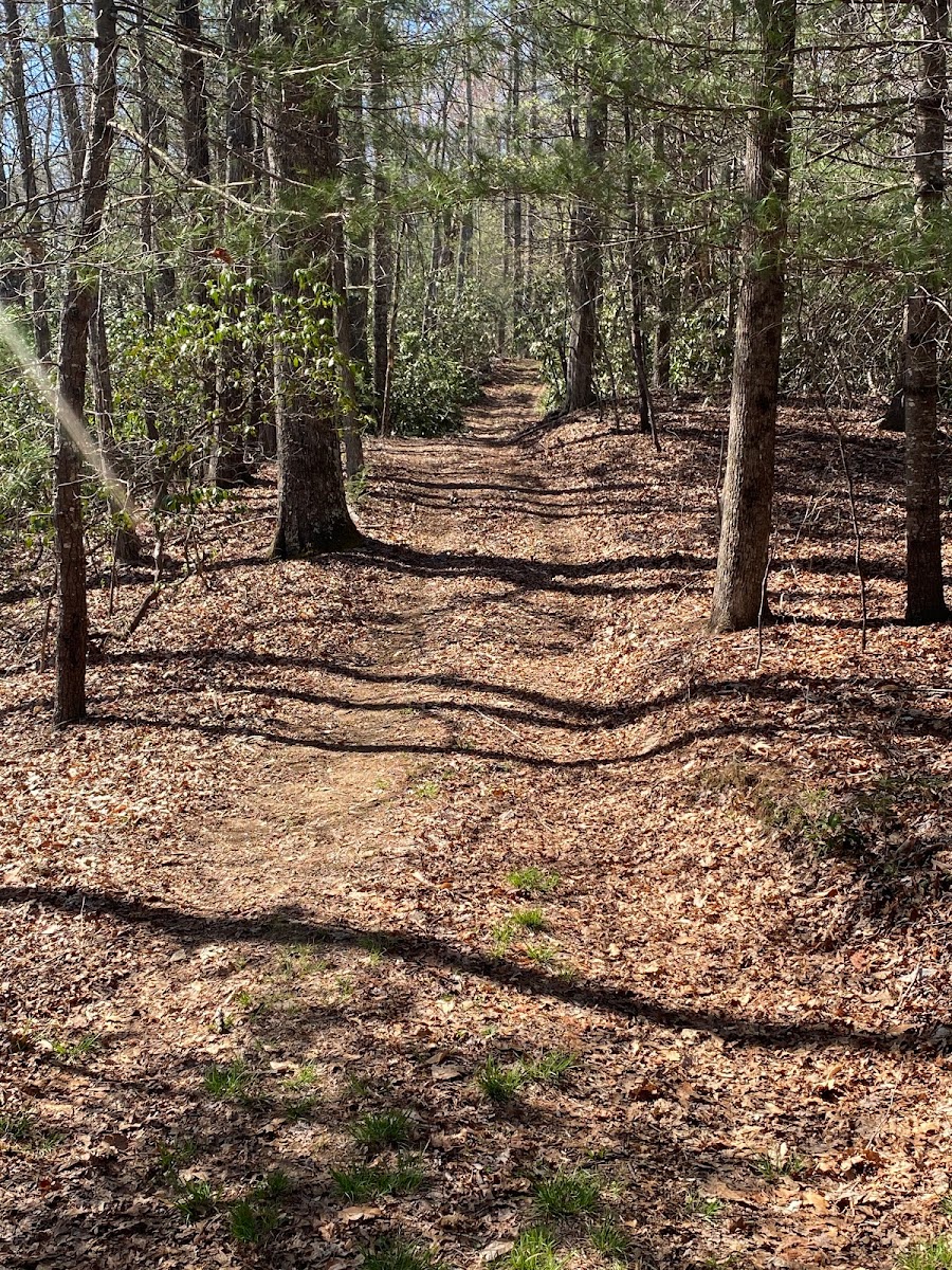 Deerwoode Reserve