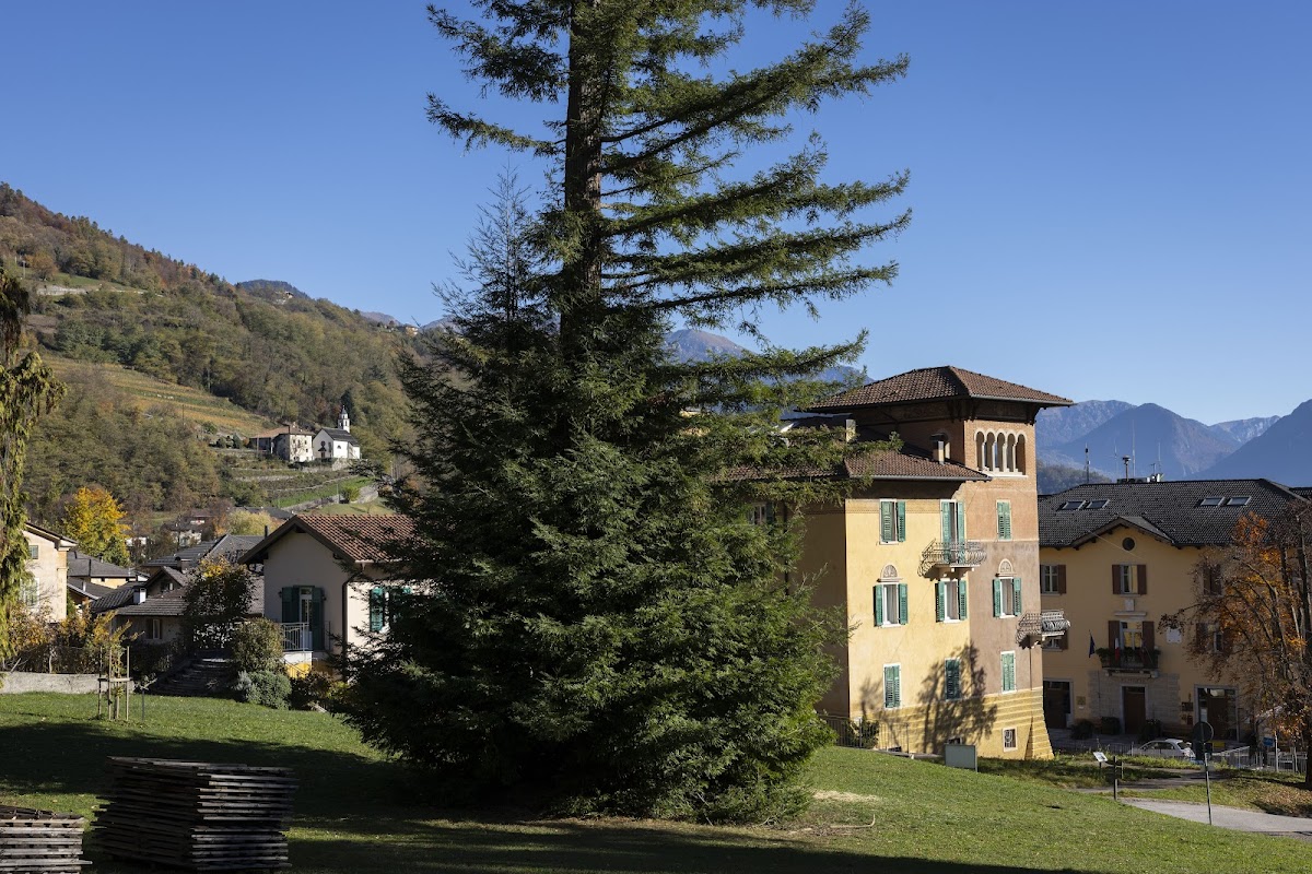 Garnì Villa Waiz Hotel 3