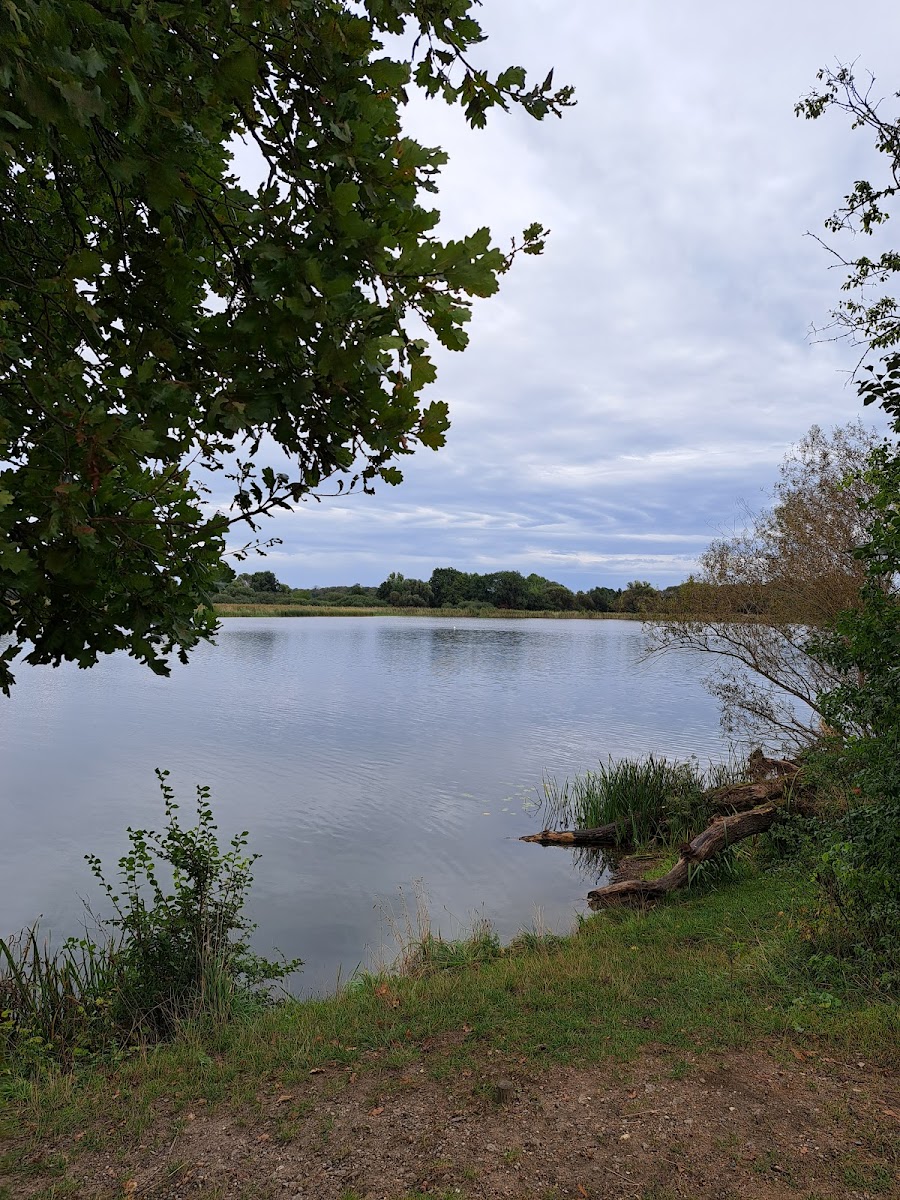 Pension Kühnauer See