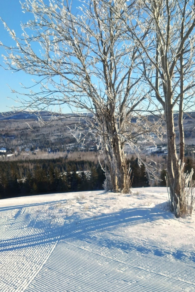 Skiliftbetrieb Sonderfeld – Engelke