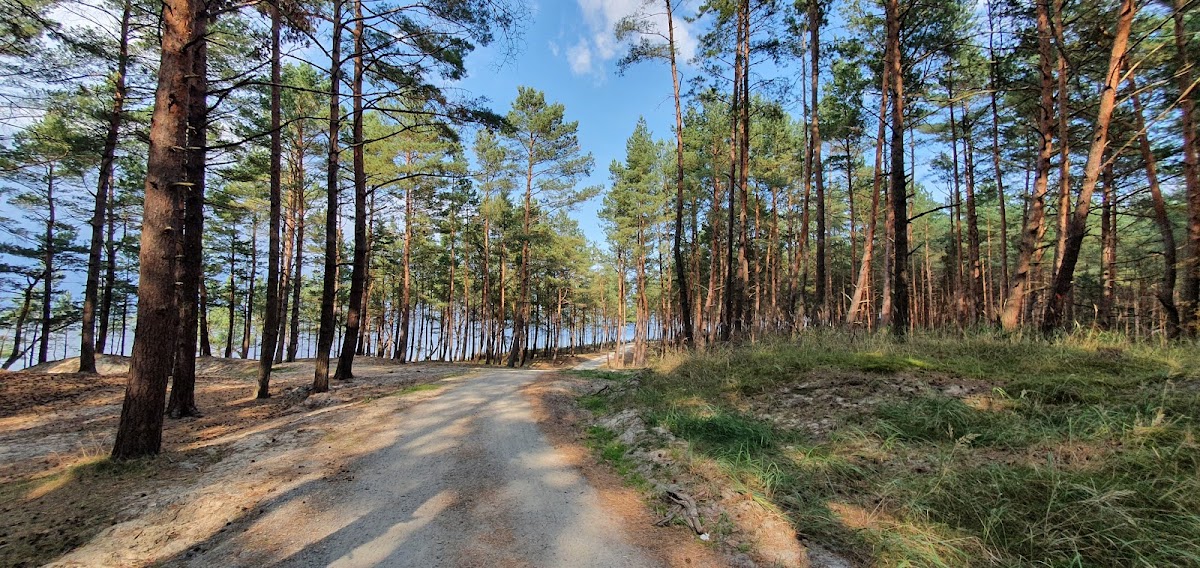 Apartamenty i Domki Mierzeja