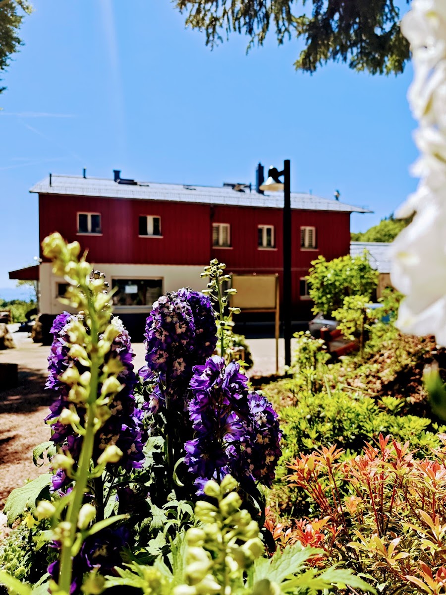 Gersbacher Hörnle Berggasthaus und Naturfreundehaus