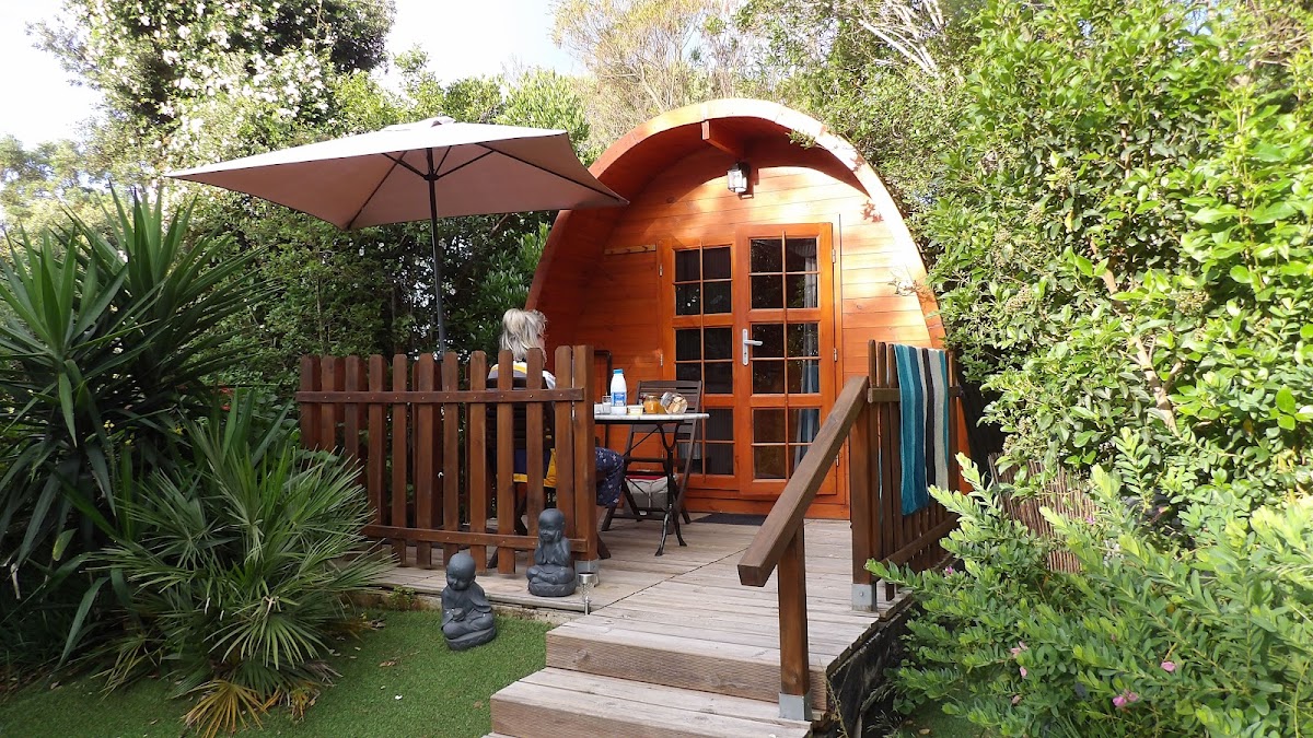 Ma cabane au fond du jardin