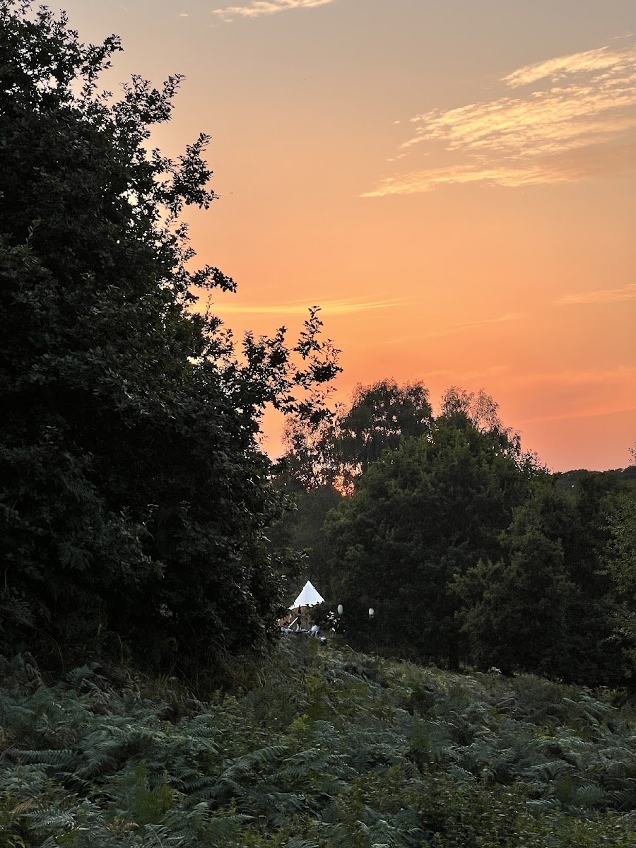 Lloyds Meadow Glamping( Book direct for best prices )