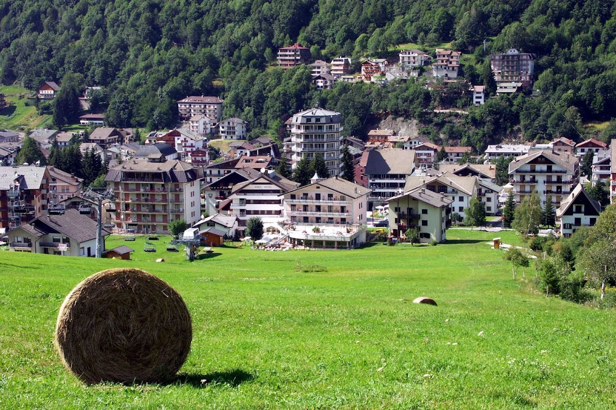 Hotel Larice Bianco Hotel 1