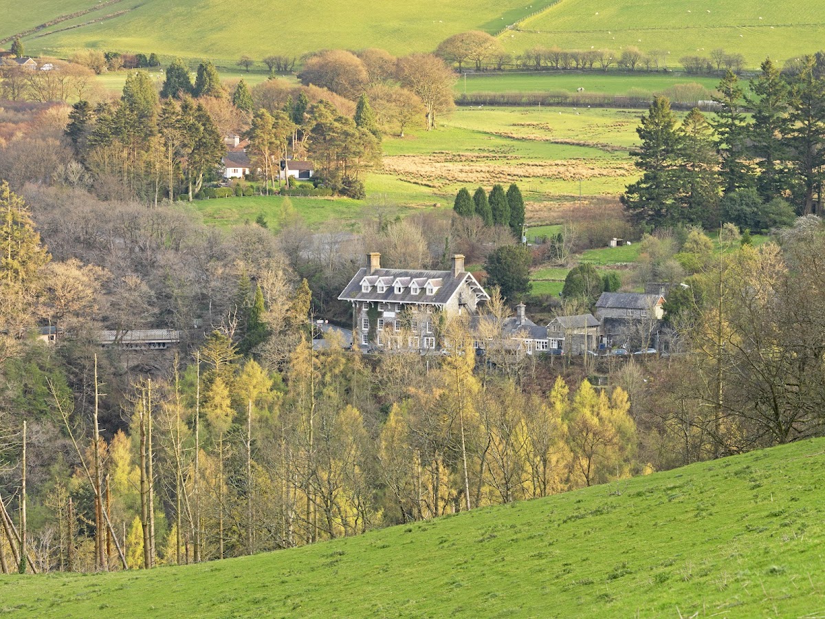 The Hafod Hotel Hotel 3