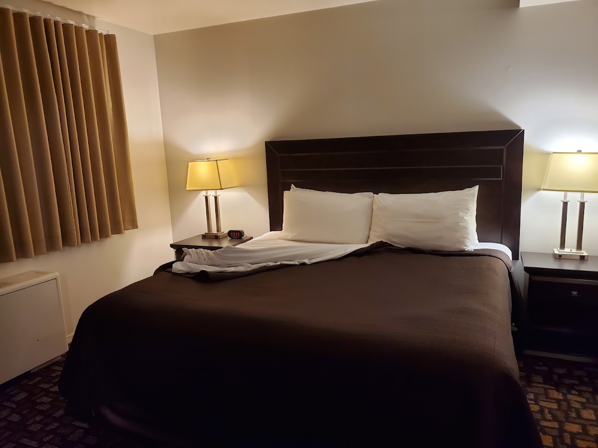 Coronet Hotel Prince Albert Hotel 2