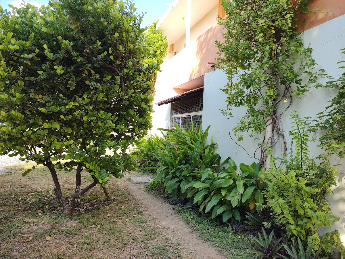 Hotel Fiesta Paraiso Hotel 3
