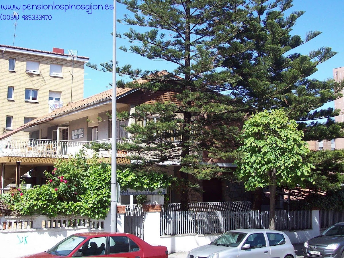 Pensión Los Pinos Gijón