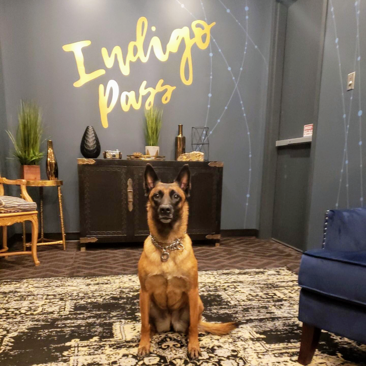 Indigo Pass Hotel