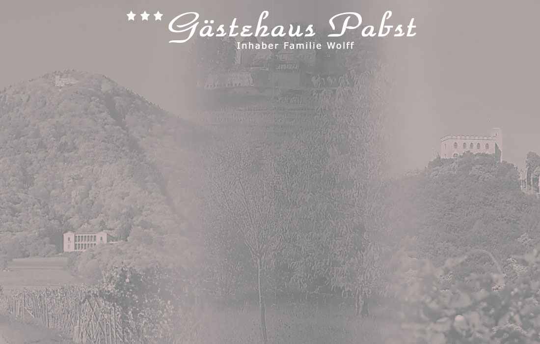 Gästehaus Pabst Hotel 3