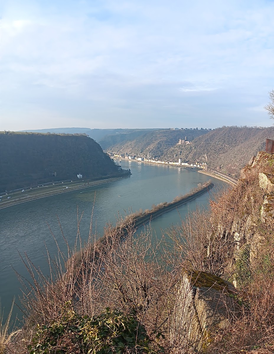 Enjoyhotel am Rhein Hotel 3