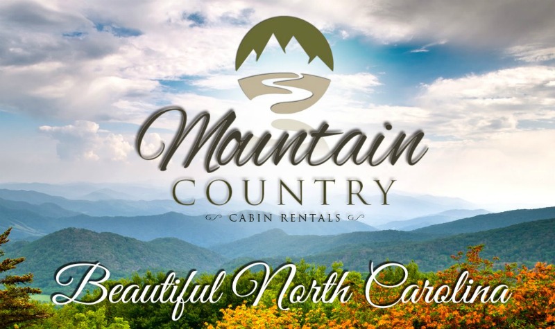 Mountain Country Cabin Rentals