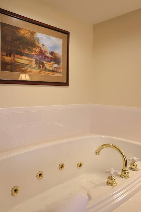 The Liberty Lodge at Sister Bay Hotel 3