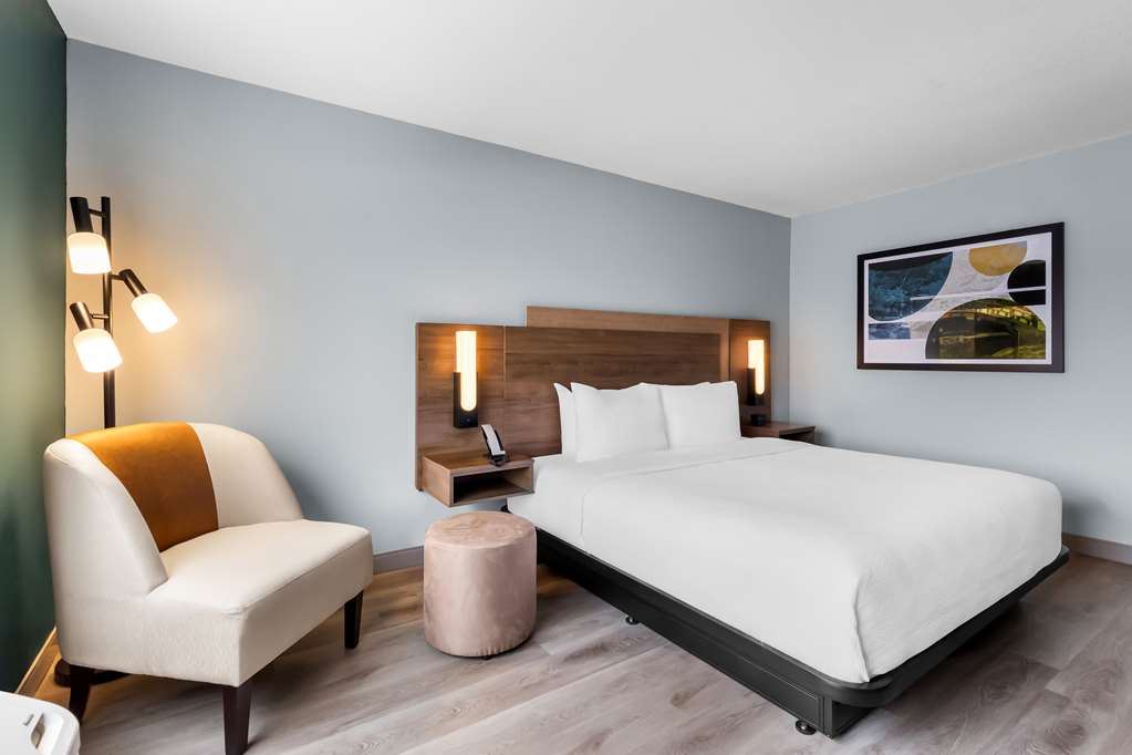 Best Western Plus Fenton Hotel 2