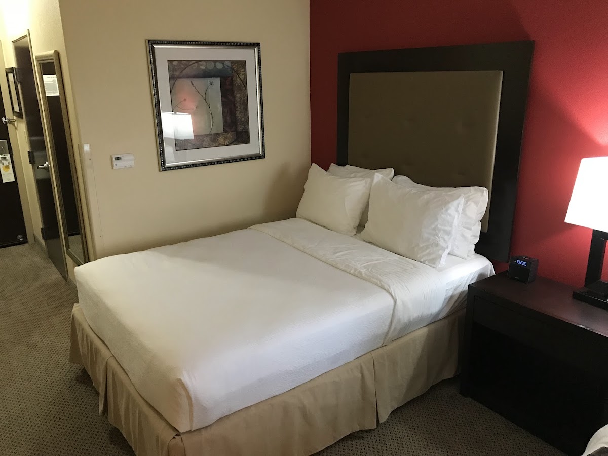 Holiday Inn & Suites Waco Northwest Hotel 3