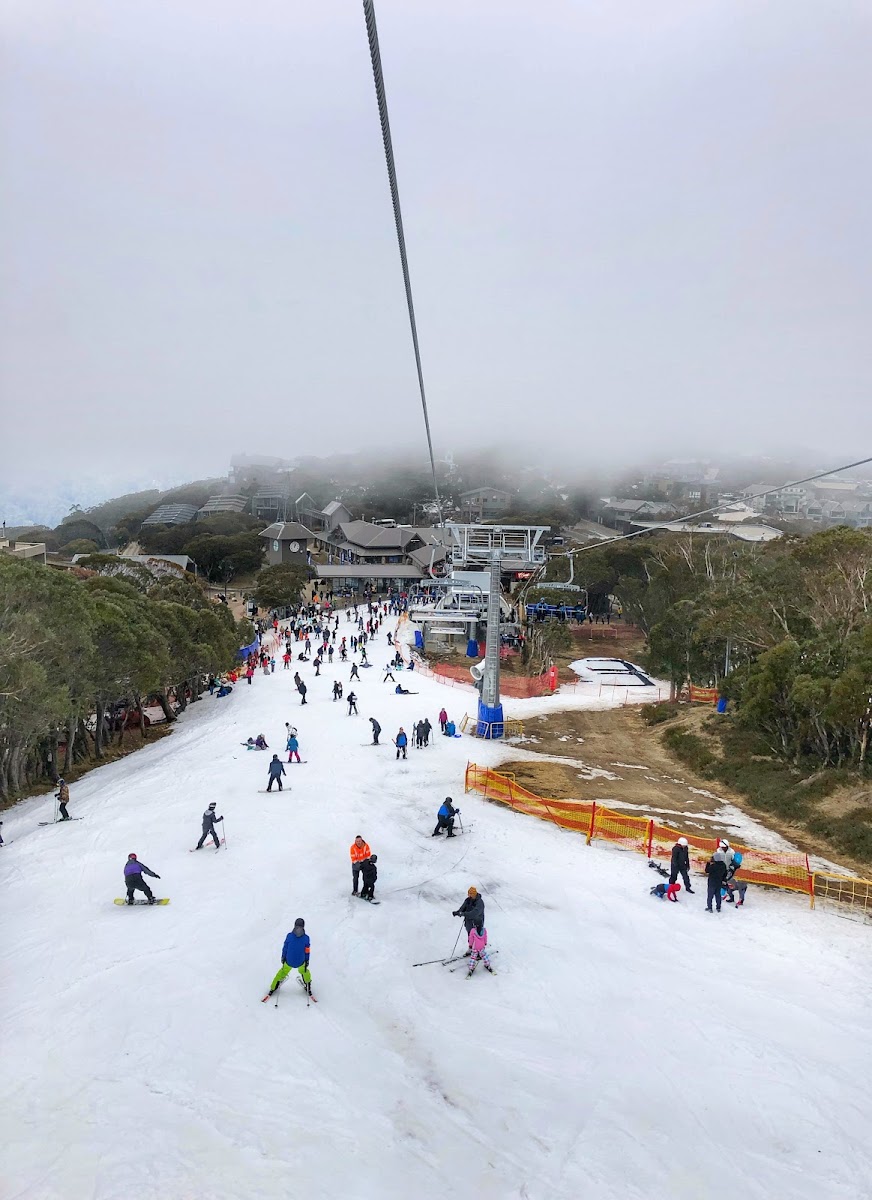 Ski Club of Victoria