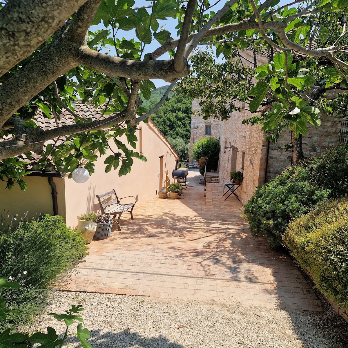 Agriturismo Borgo Belfiore Hotel 3