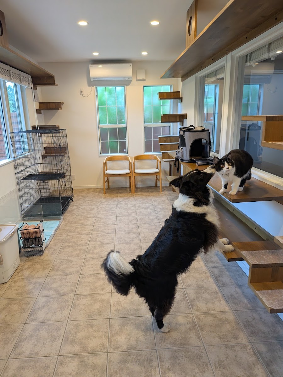 Asovillage (アソヴィレッジ) 愛犬と泊まる一棟貸村