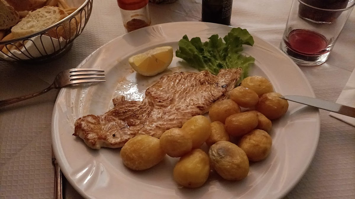 Cavallo Bianco