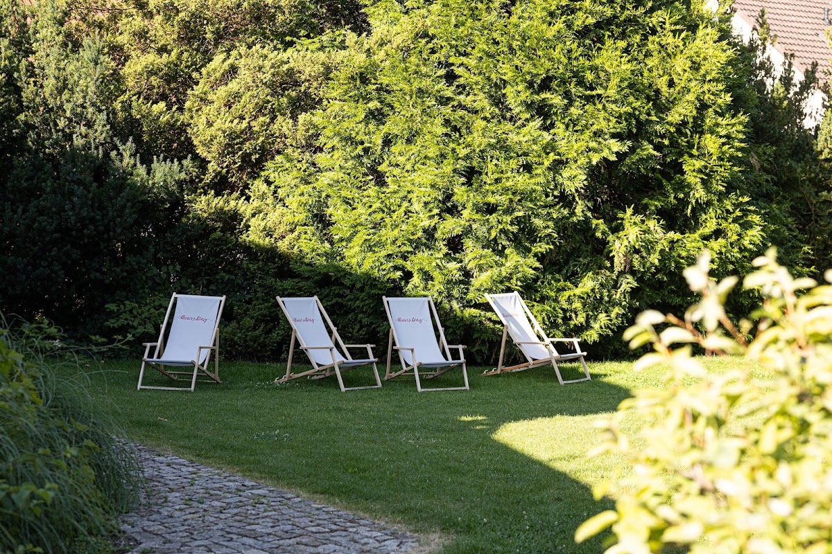 Pension Kleiner König Hotel 3