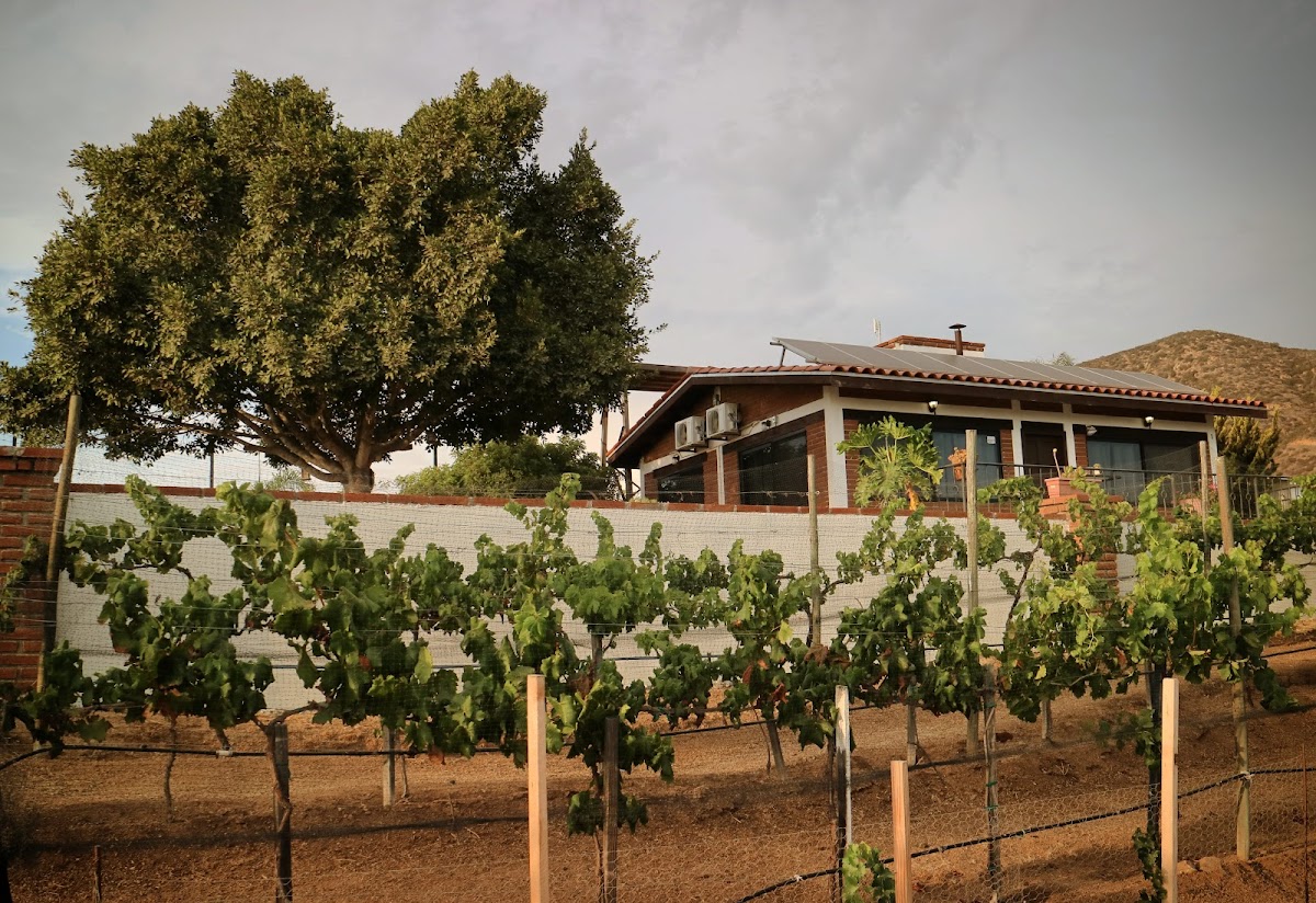 Quinta Sofia Valle Guadalupe