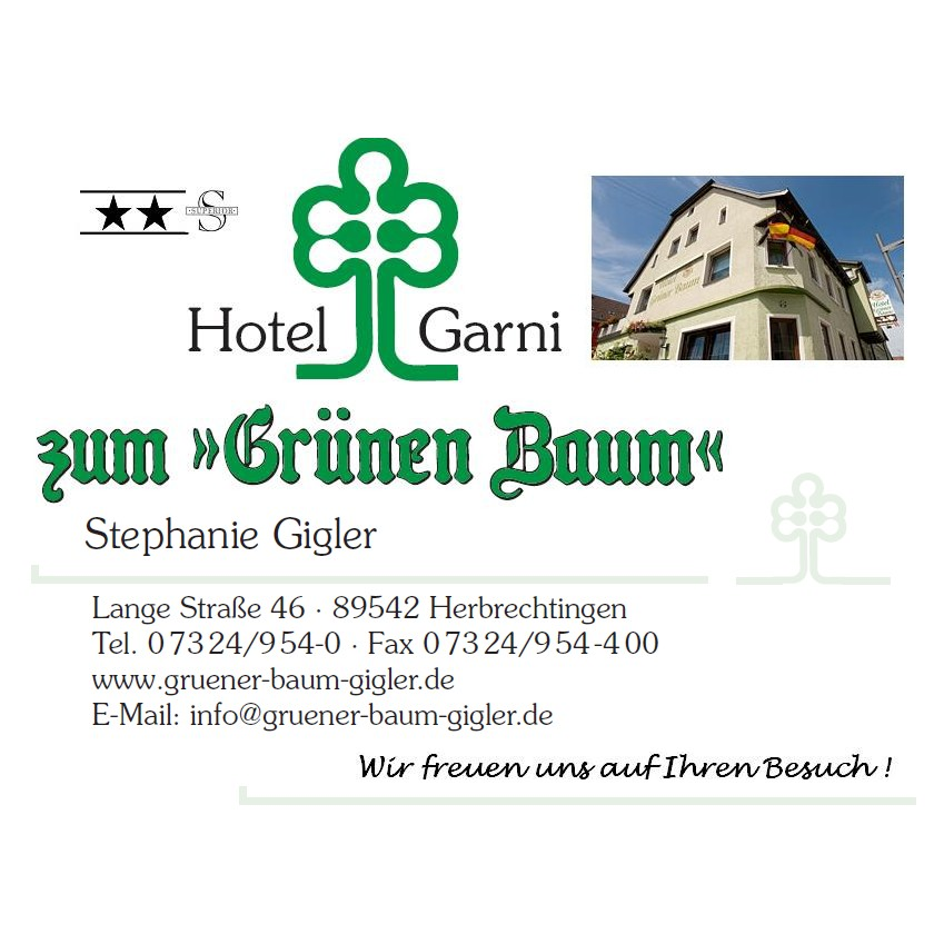 Hotel Grüner Baum Hotel 3