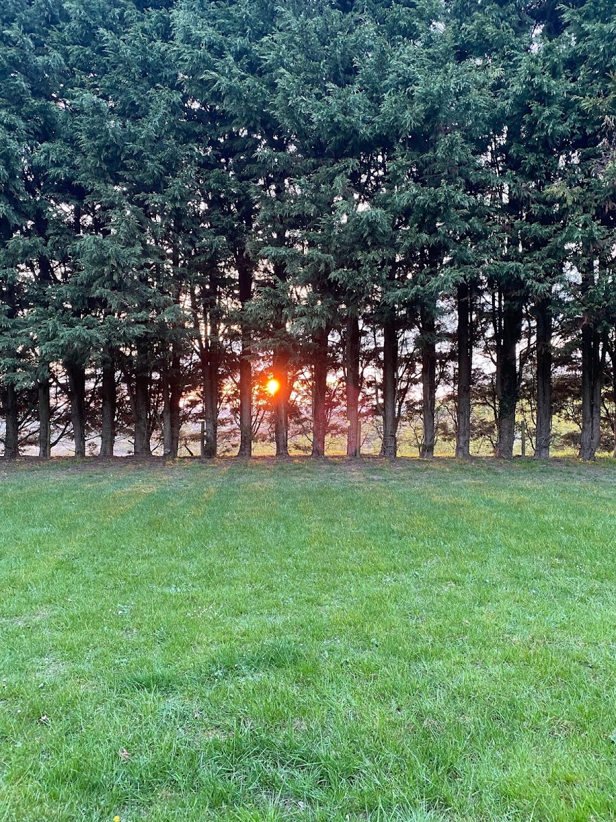 Hill View