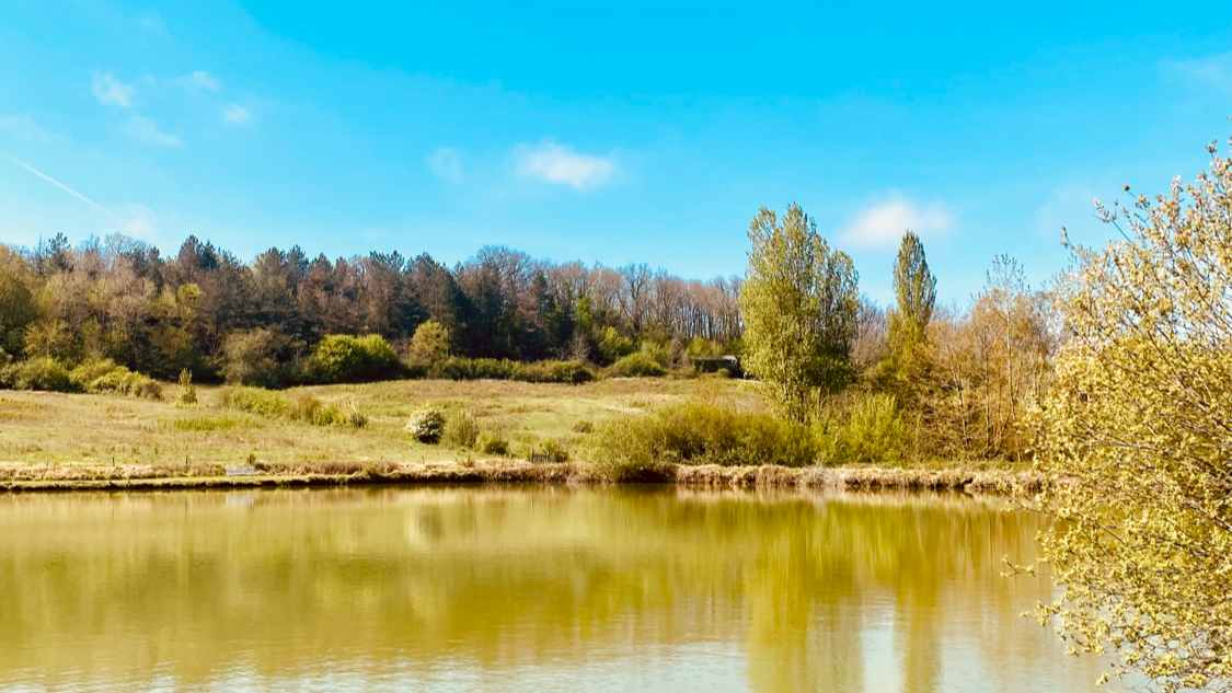 Domaine la Douce France
