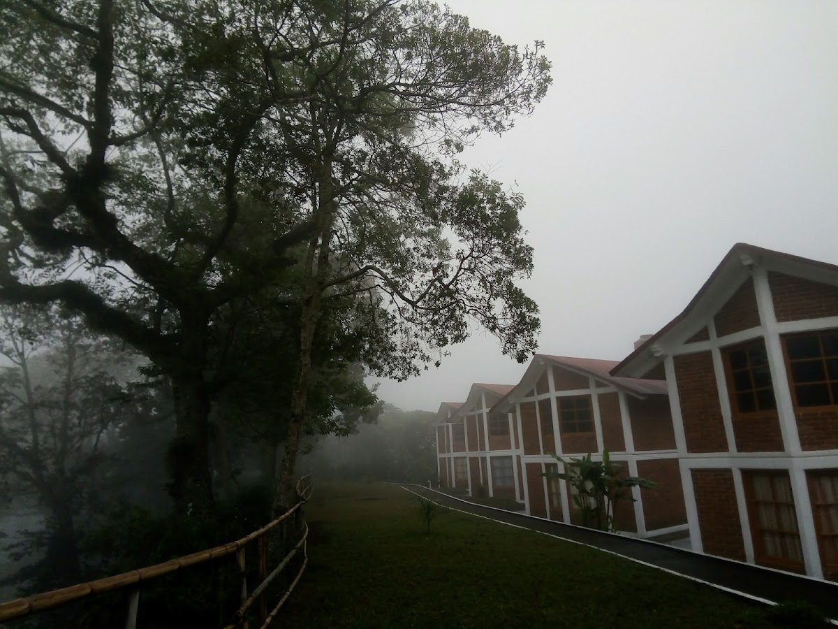 Finca Santa Rosa