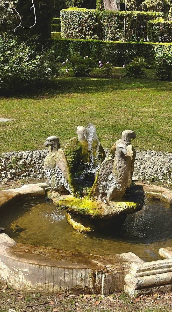 Tivoli terme Hotel 3