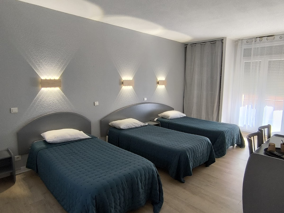 Le Central Hôtel Hotel 3