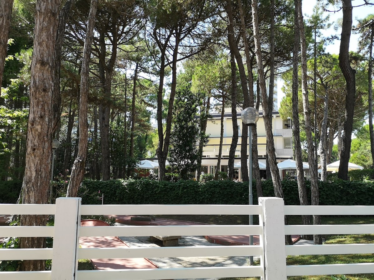Hotel San Marco Hotel 3