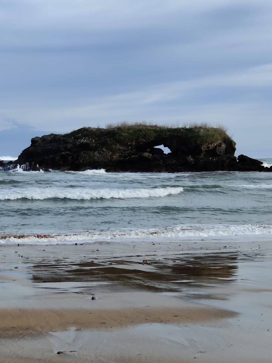 Alojamiento Monte y Mar Hotel 3