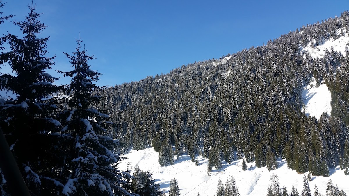 Caisses de Pierre Longue