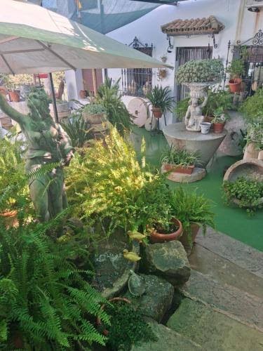 Casa Paco Hotel 2