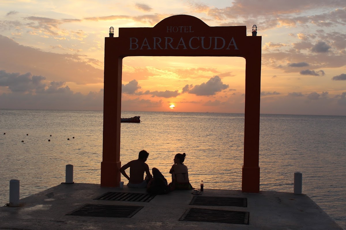 Hotel Barracuda Hotel 3