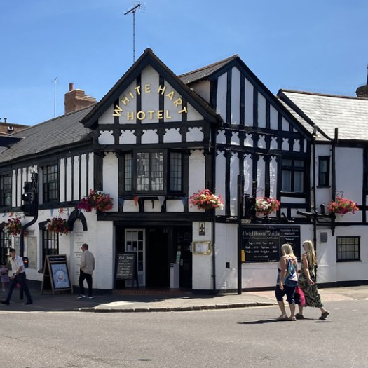 The White Hart Hotel Hotel 1