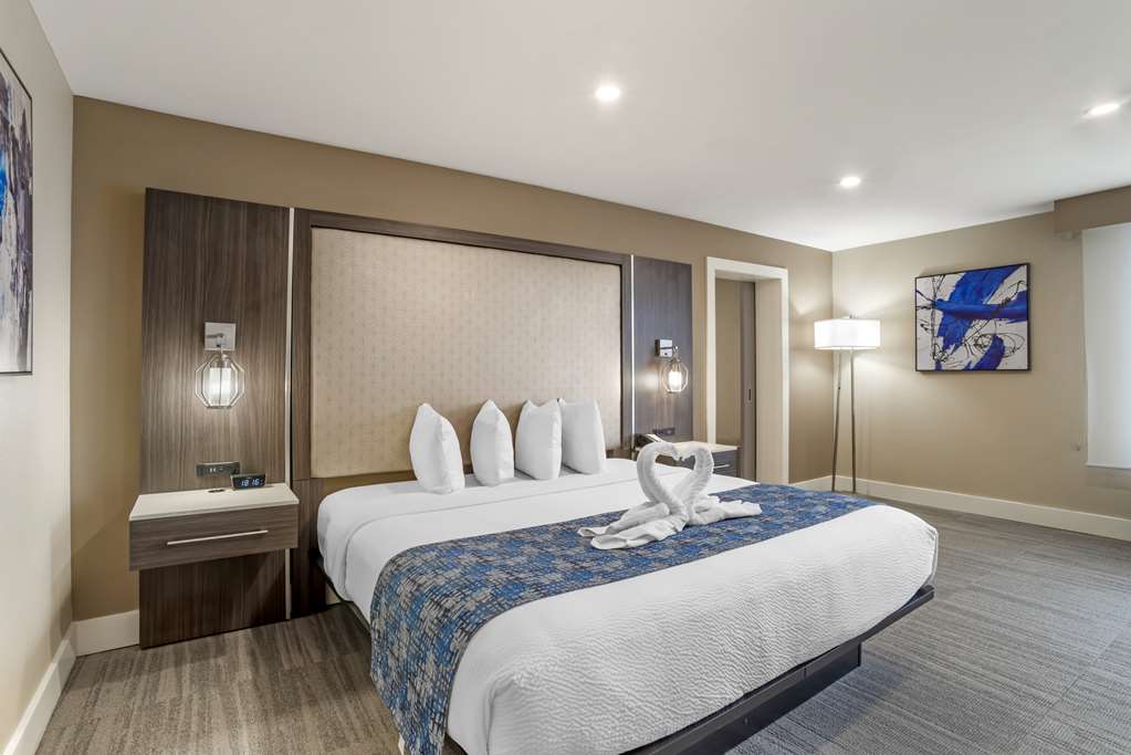 Best Western Plus Greenville I-385 Inn & Suites Hotel 2
