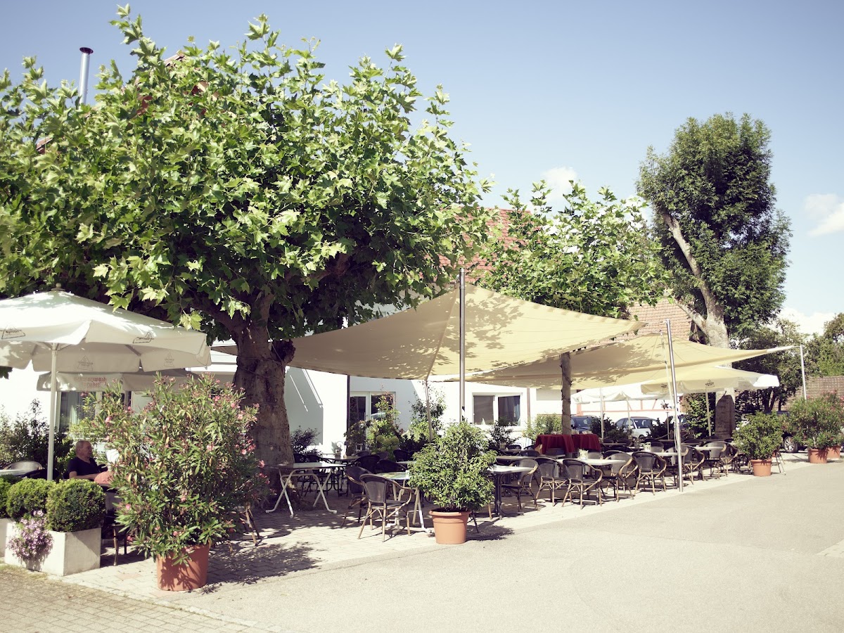 Gasthaus Schiff Hotel 2